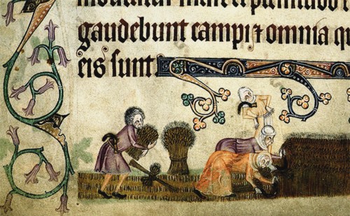 Reaping and binding sheaves (From the Luttrell Psalter), ca 1330. Artist: Anonymous