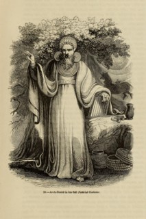 Arch-Druid in his full Judicial Costume (From the book Old England: A Pictorial Museum), 1845. Artist: Anonymous