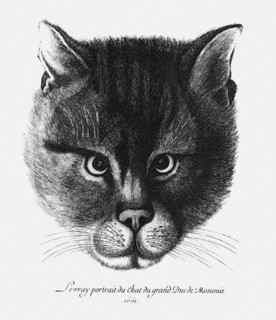 True picture of the Cat of the Tsar Alexis I Mikhailovich of Russia. Artist: Hollar, Wenceslaus (1607-1677)