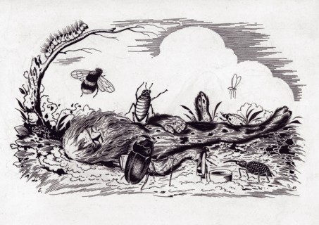 Bolotnik. Artist: Belukha, Yevgeny Dmitrievich (1889-1943)