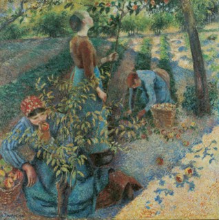 Apple Picking, 1886.