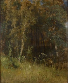 Forest Thicket, 1874.