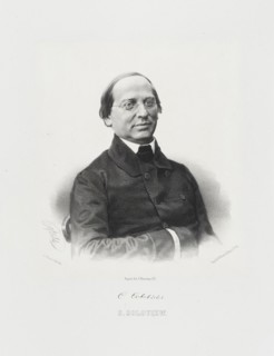 Portrait of the historian Sergey Mikhaylovich Solovyov (1820-1879).