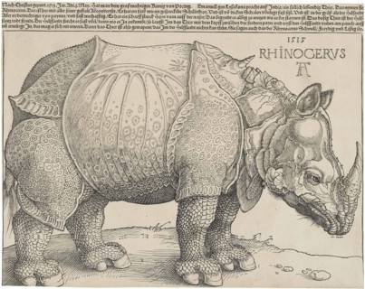 The Rhinoceros.
