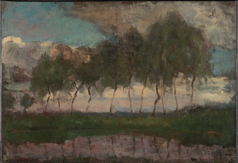 The Gein: Trees by the water.
