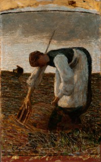 The hay harvest.