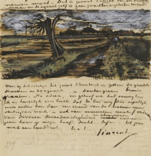 Pollard Willow. Letter to Theo van Gogh.