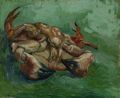 A Crab on its Back.