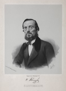 Portrait of the historian Nikolay Kostomarov (1817-1885).