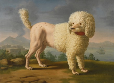 Portrait of Codina, believed to be lady Hamilton's poodle, the bay of Naples with a British man-of-w