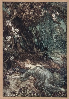 Midsummer Night's Fairies.