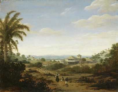 Landscape on the Rio Senhor de Engenho, Brazil.