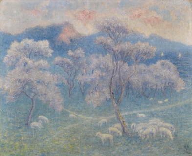 Sheeps and almond blossoms.