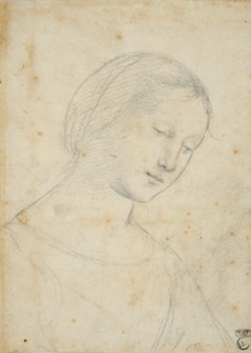 Study of a Woman.
