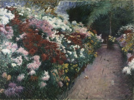 Chrysanthemums, 1888.