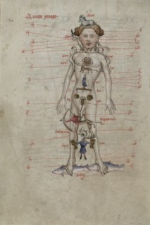 A Zodiac Man diagram showing the seasons for bloodletting. From Liber Cosmographiae, 1408.