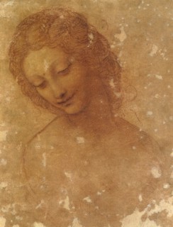 Head of Leda, c. 1510.