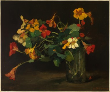 Still Life with Nasturtiums.
