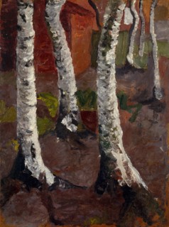 Birch trees in front of red house wall, ca 1901.