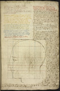 Construction of an ideal head, c. 1500.