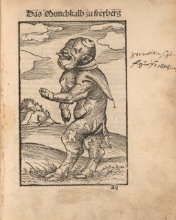 Monk Calf of Freiberg (Das Mönchskalb zu Freiberg), 1523.