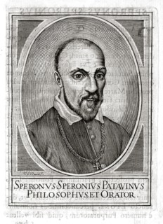 Portrait of Sperone Speroni (1500-1588).