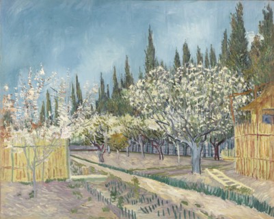 Orchard bordered by cypresses, 1888.