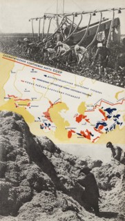 Cotton breeding. Illustration from USSR Builds Socialism, 1933. Creator: Lissitzky, El (1890-1941).