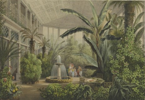 Verkiai Palace. Interior of conservatory, 1847-1852.