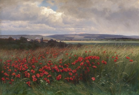 Poppies, 1909.
