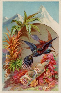 Murray & Lanman?s Florida Water, 19th century. Artist: Unknown