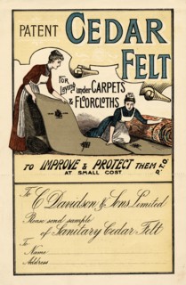 Cedar Felt, 19th century. Artist: Unknown