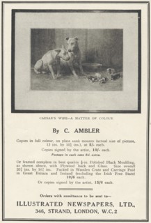 Illustrated Newspapers Framed Pictures, 1935. Artist: Unknown