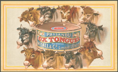 Paysandu ox tongue, 1890s. Artist: Unknown