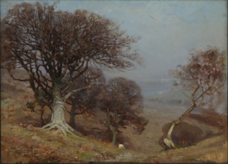 'Beeches on the Quantocks', 1885-1924. Artist: Benjamin Haughton