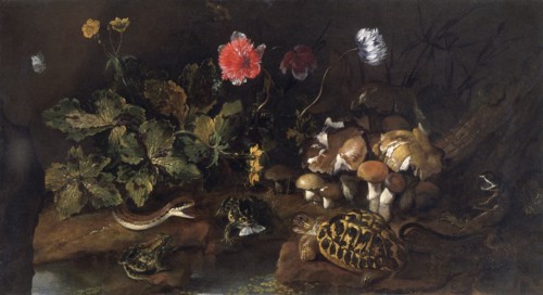 'Still life with a snake, frogs, tortoise and lizard', 1656-1673. Artist: Paolo Porpora
