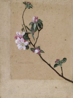'Apple Blossom', 1869. Artist: Walter Crane.