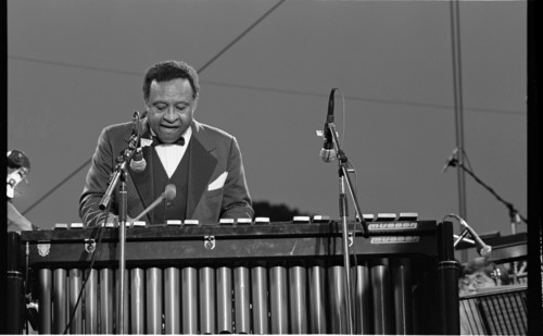 Lionel Hampton, Knebworth, 1982.   Artist: Brian O'Connor.