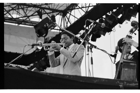 Wynton Marsalis, Knebworth, 1982.   Artist: Brian O'Connor.