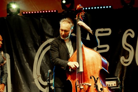 Reid Anderson, Love Supreme Jazz Festival, Glynde Place, East Sussex, July 2015. Artist: Brian O'Connor.