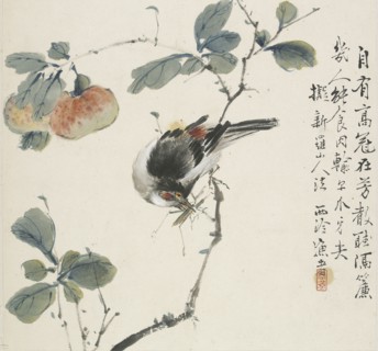 A Chinese Hwamei eating a grasshopper, 1857. Artist: Jin Yuan.