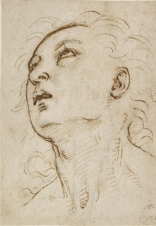 Head of a young Man gazing upwards, c1497-c1504. Artist: Raphael.