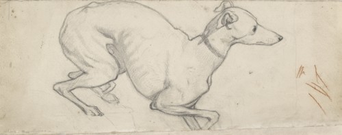 Study of a Greyhound, mid 19th century. Artist: Ford Madox Brown.