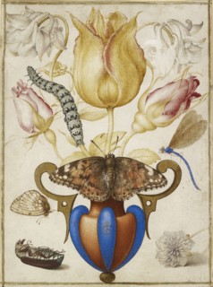 Arrangement of Flowers in a Vase, with Insects, 1594. Artist: Joris Hoefnagel.