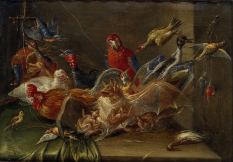 Decorative Still-Life Composition with Birds and Two Bats, mid 17th century. Artist: Jan van Kessel.