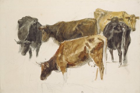 Study of a Group of Cows, c1801. Artist: JMW Turner.