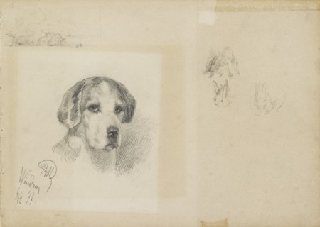 Portrait of a dog: Windsor, 1877. Artist: Rudolf Wimmer.