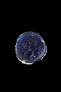 Glass fragment, 3rd-4th century. Artist: Unknown.
