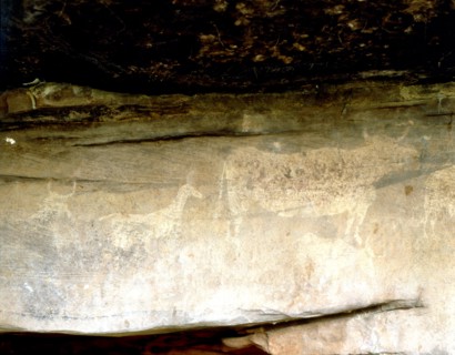 Cave paintings in the Abrigo del Navazo.