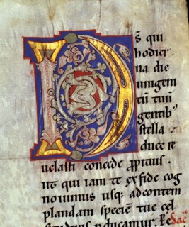 Drop cap 'D' illuminated with heads of birds and vegetables interlacing in the 'Sacramentary of S?
